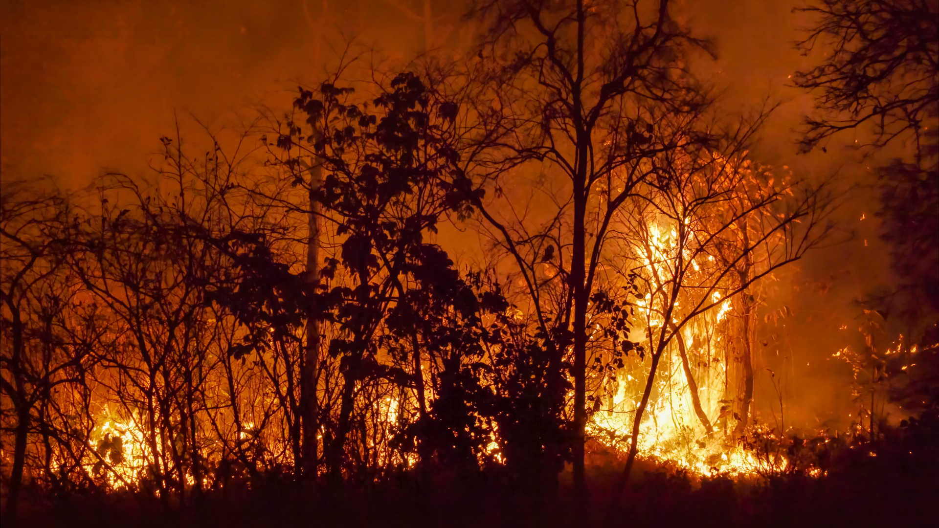 When Wildfires Cross the Border, Chemical Risk Follows: What First Responders and Facilities Need to Know